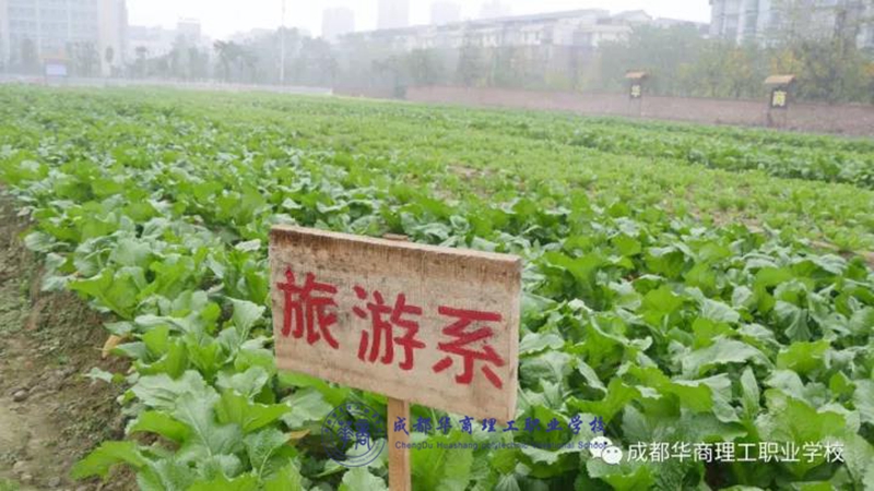 【 家长学校 】中国最需教育的不是孩子,而是家长! 【 家长学校 】中国最需教育的不是孩子,而是家长!