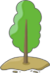 【公众号】3.12绿色家园  从我做起——校团委组织开展植树节主题活动2.png