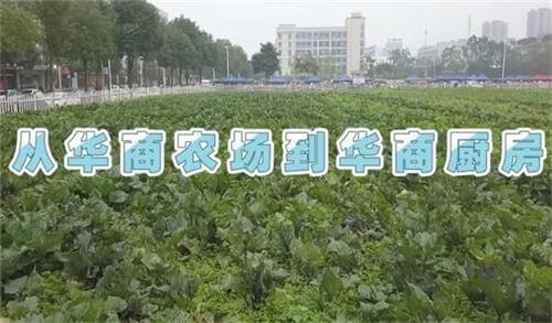 成都华商理工职业学校——华商农场到华商厨房
