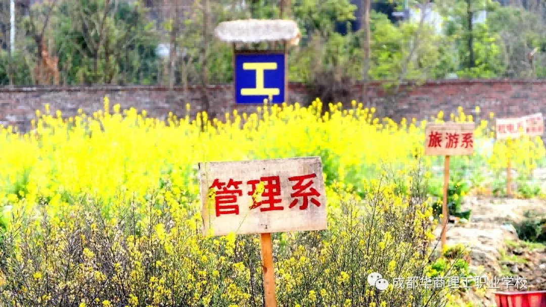 图片 15.png