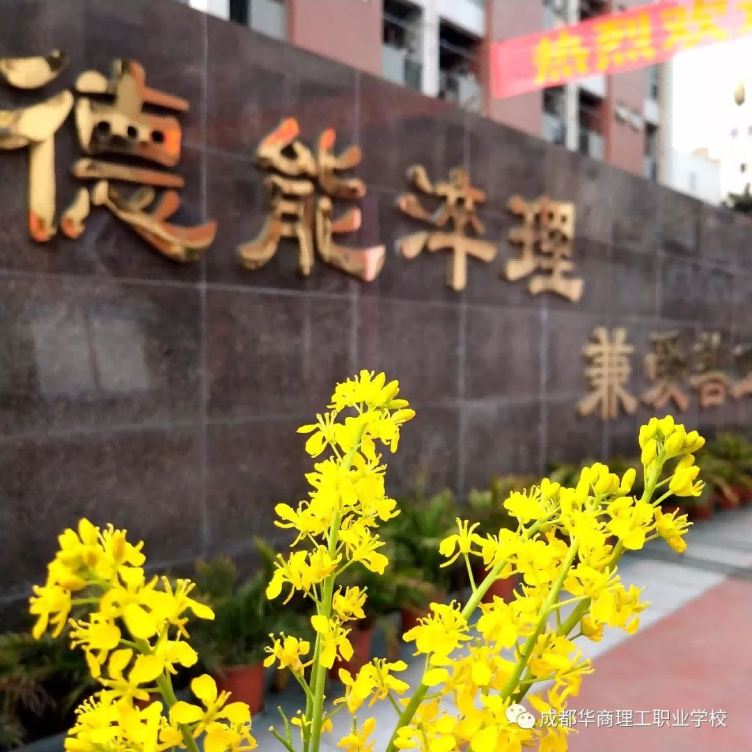 图片 16.png