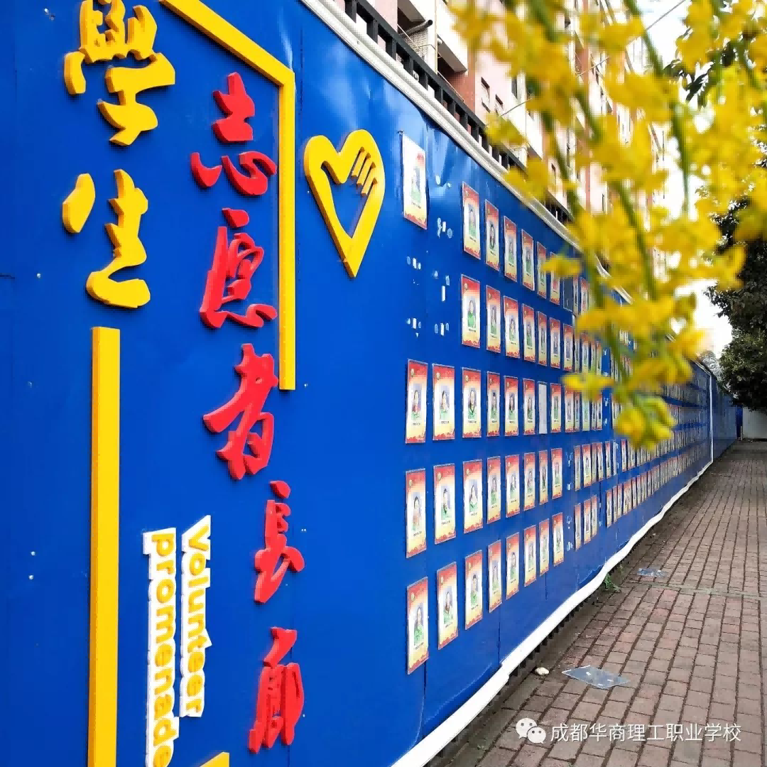 图片 17.png