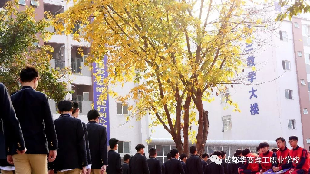 图片 3.png