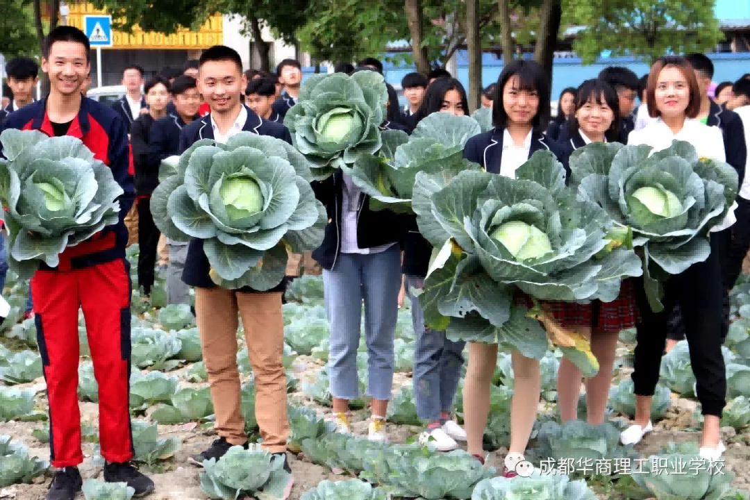 图片 3.png