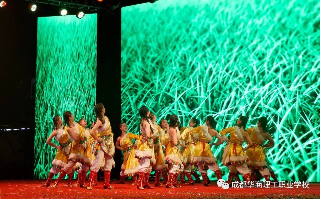 图片 8.jpg