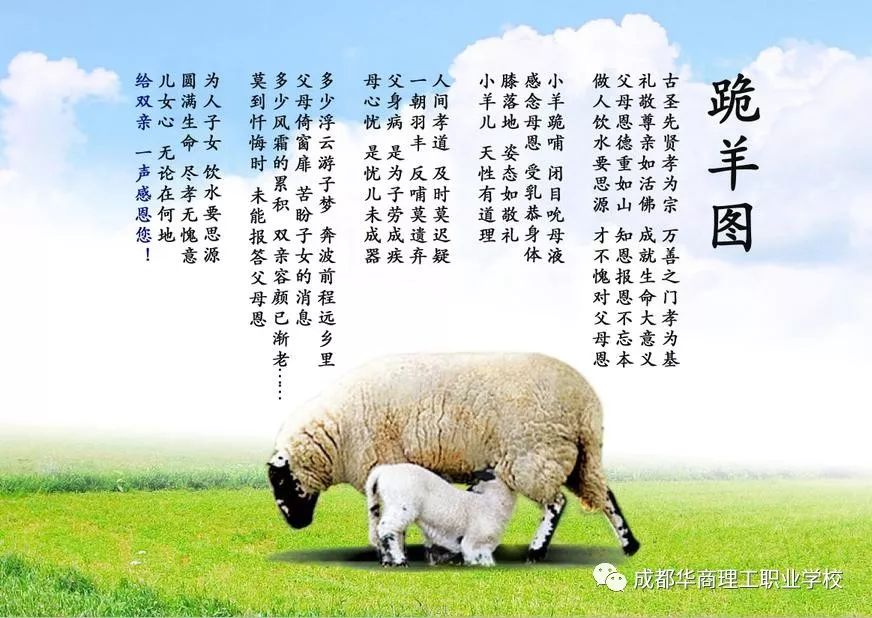 图片 13.png