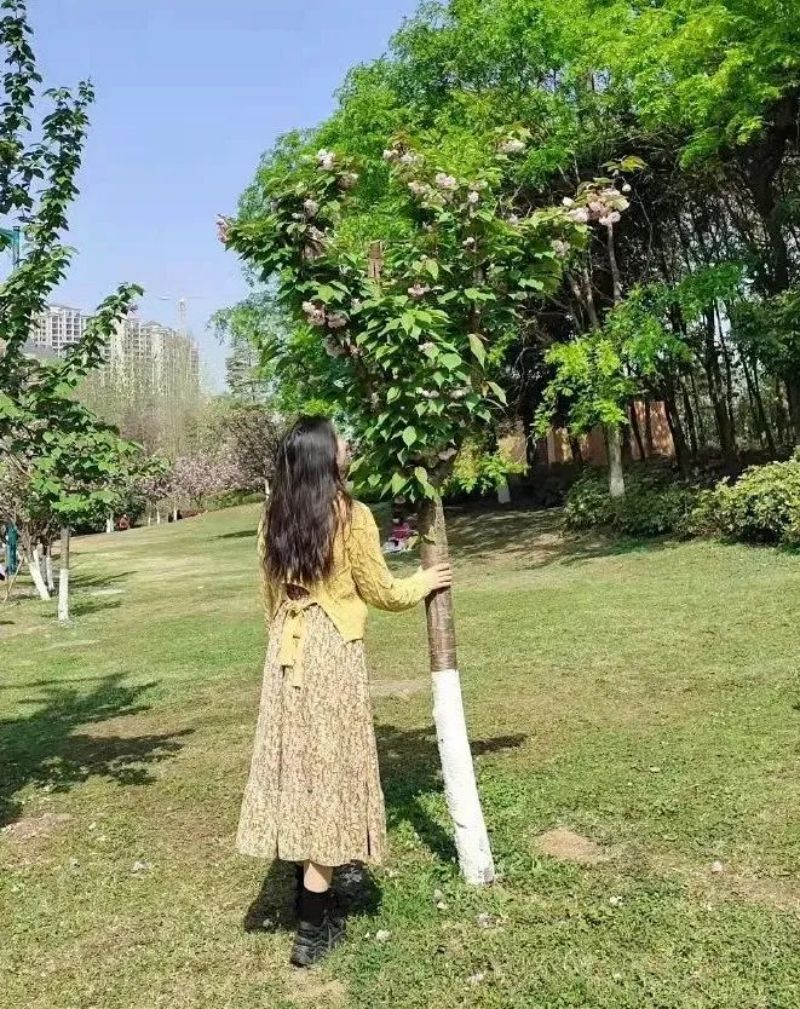 【公众号】3.8借春风十里，致敬最美的你——成都华商理工职业学校祝全体女教职工女神节快乐！782.jpg