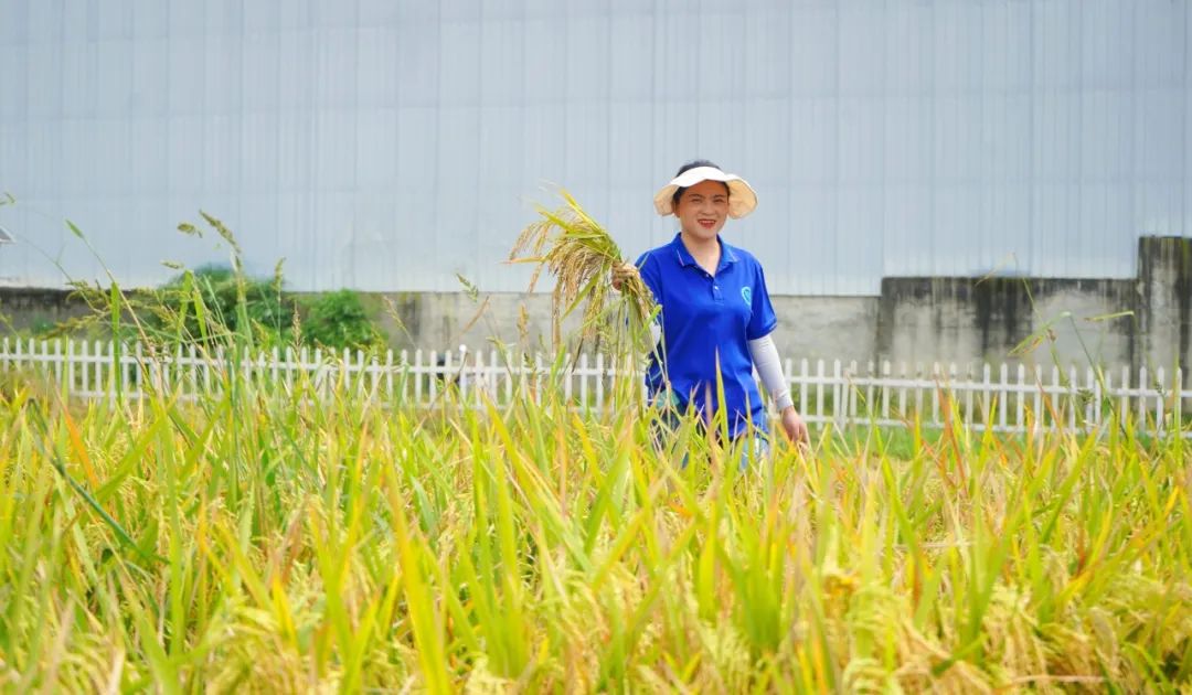 满屏的回忆——成都华商理工职业学校2023年度精彩瞬间之人文真善美展映（四）