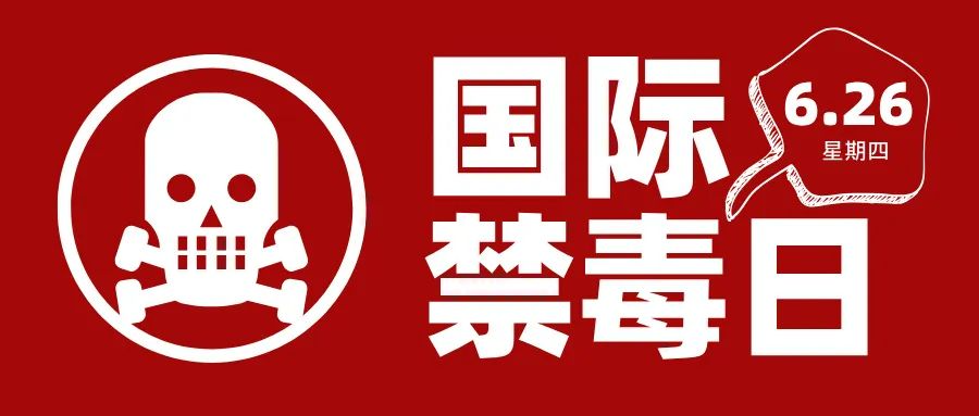 禁毒护航·青春向阳 | 华商理工携手多方筑牢青少年“防毒墙”